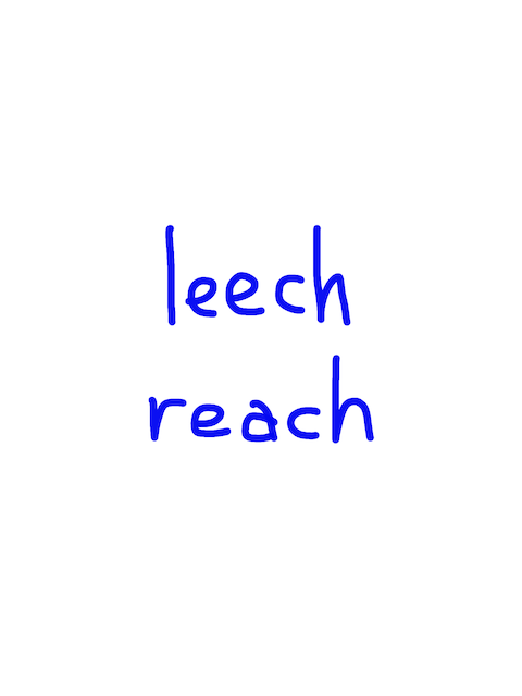 leech/reach　似た英単語/似ている英単語　画像