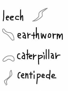 leech/reach　似た英単語/似ている英単語　画像