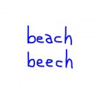 beach/beech　似た英単語/似ている英単語　画像
