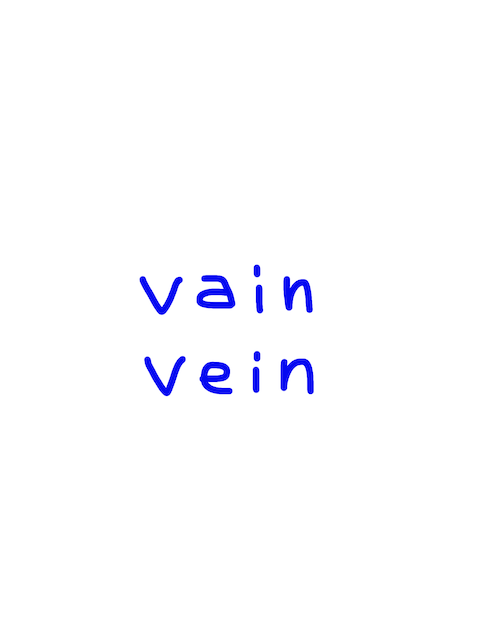 vain/vein　似た英単語/似ている英単語　画像