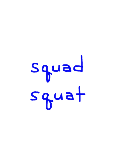 squad/squat　似た英単語/似ている英単語　画像