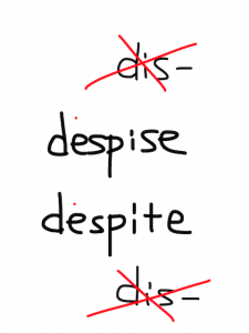 despise/despite　似た英単語/似ている英単語　画像