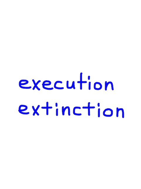 execution/extinction　似た英単語/似ている英単語　画像