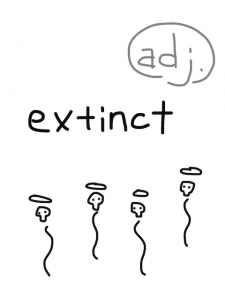 execution/extinction　似た英単語/似ている英単語　画像