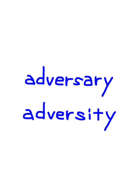 adversary/adversity　似た英単語/似ている英単語　画像