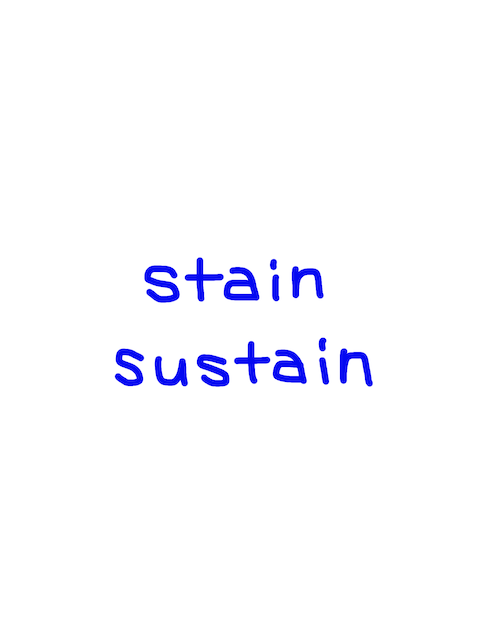 stain/sustain　似た英単語/似ている英単語　画像