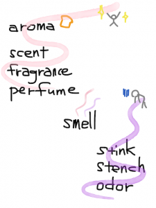 aroma/asthma　似た英単語/似ている英単語　画像