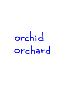 orchid/orchard　似た英単語/似ている英単語　画像