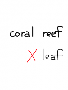 coal/coral　似た英単語/似ている英単語　画像