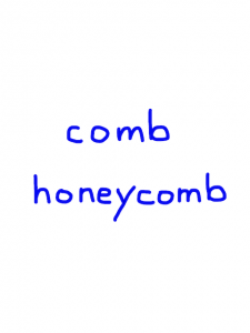 comb/honeycomb　似た英単語/似ている英単語　画像