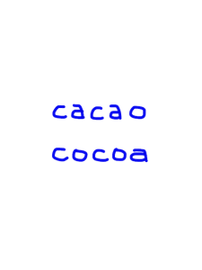 cacao/cocoa　似た英単語/似ている英単語　画像