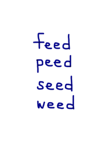 feed / peed / seed / weed　似た英単語/似ている英単語　画像