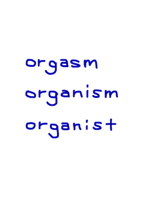 orgasm / organism / organist　似た英単語/似ている英単語　画像