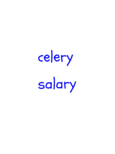 celery / salary　似た英単語/似ている英単語　画像