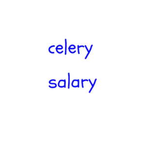 celery / salary　似た英単語/似ている英単語　画像